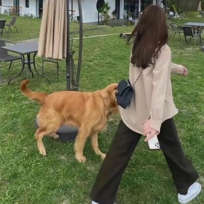双面惊悚